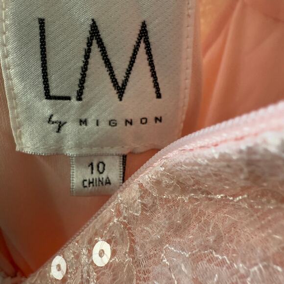 LM by Mignon Blush Pink Sequin Gown with Sheer Straps Fitted Silhouette Size 10 - Picture 8 of 8